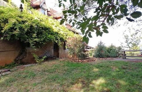 Reyrevignes House | La quercynoise