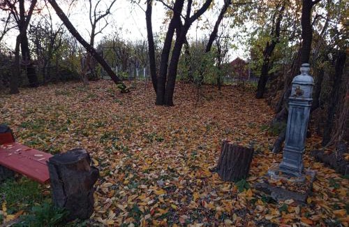 Campulung Ski Chalet | La Râu - Căsuța de sus