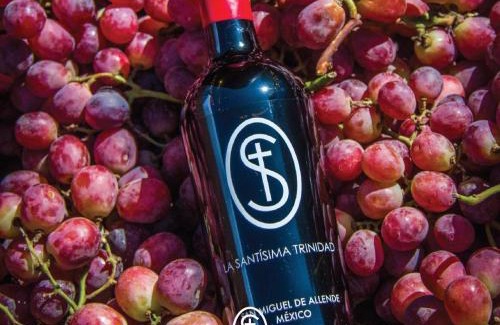 Dolores Hidalgo Hotel | La Santísima Trinidad