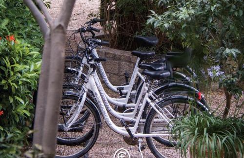 Dolores Hidalgo Hotel | La Santísima Trinidad
