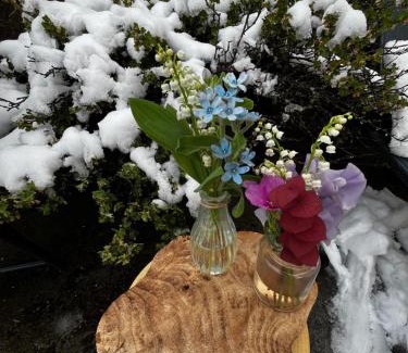 Albiez-Montrond Ski Chalet | La scierie de la grande ourse