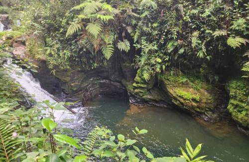 Antioquia House | LA SERENA reserva natural