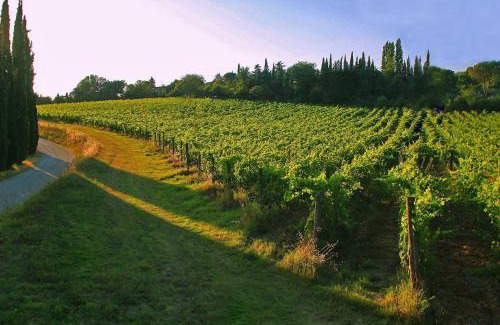 Quartiere di Porta Crucifera House | La Striscia Wine Resort