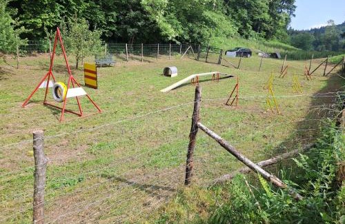 Montagnaga Apartment | La SUITE delle Scuderie, con Vasca da bagno in stanza, PetFiendly con Area Cani