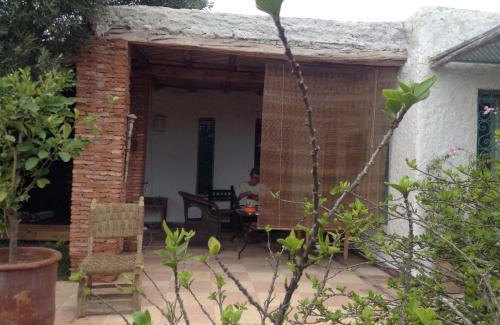 Essaouira House | LA VACHE quiI RIT