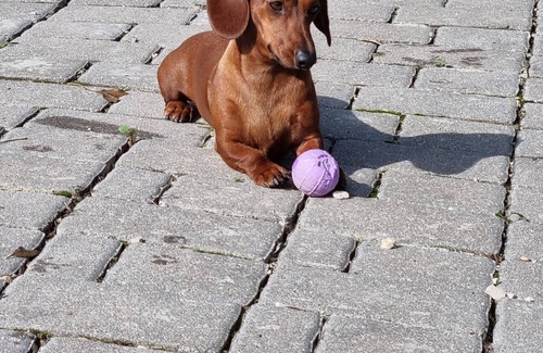 Paglieta House | La Vigna di Ranco - Madellana