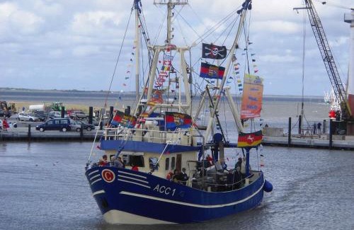 Westeraccumersiel Apartment | Lachmöwe