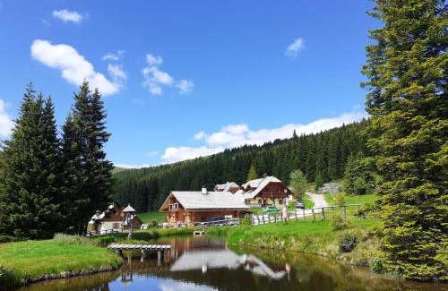 Lachtal House | Lachtalhütte