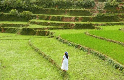 Bac Ha House | Lagom Bắc Hà Farmstay
