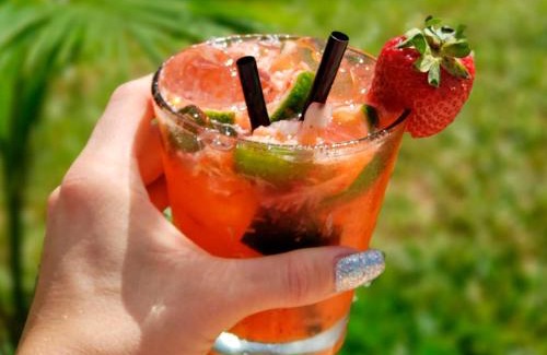 Los Helechos Other | Lagunas de la selva