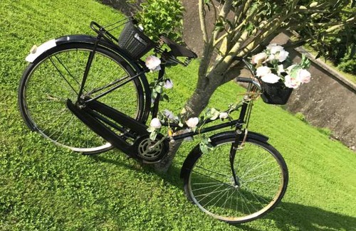 Maynooth Bed & Breakfast | Laithreach Briuin B&B W23E0H9