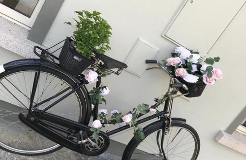 Maynooth Bed & Breakfast | Laithreach Briuin B&B W23E0H9