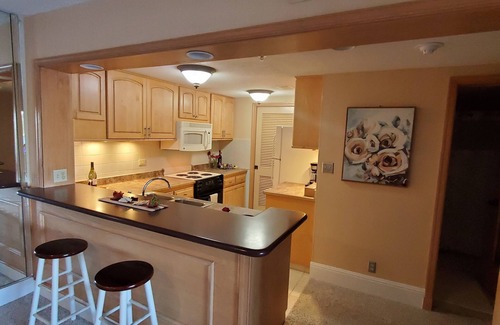 Palm Harbor Condo | Lakefront 1/BR Resort Condo with Stunning Golf Course & Lake View