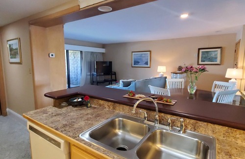 Palm Harbor Condo | Lakefront 1/BR Resort Condo with Stunning Golf Course & Lake View