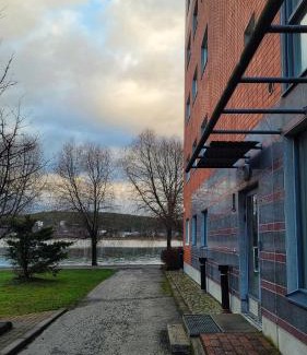 Jyvaskyla Apartment | Lakeside Serenity Lutakko - sauna, parking