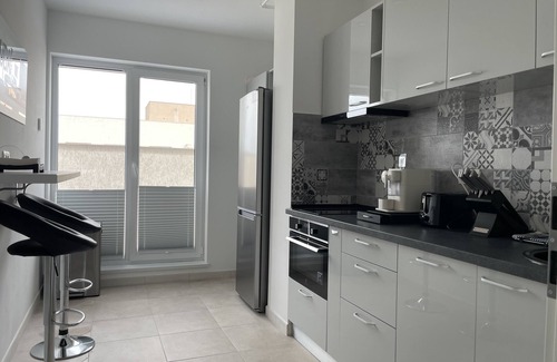 Militari Apartment | Lakeview 2 Room Penthouse Rooftop Terrace W15