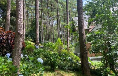 Da Lat Villa | Lan Anh Villas Resort