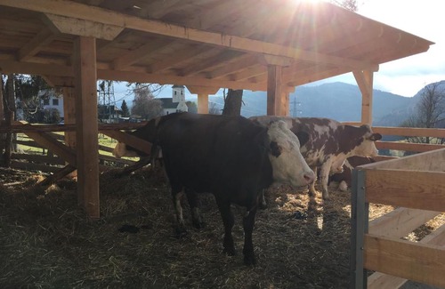 Neumarkt in Steiermark Hotel | Landgasthof Pöllauerhof