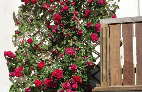 Lassnitzhoehe Bed & Breakfast | Landhaus Waldfrieden