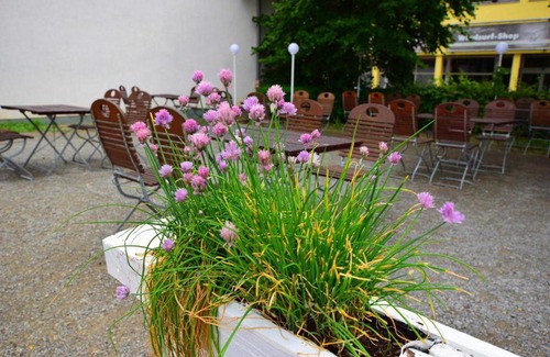 Grebenstein Hotel | Landhotel Restaurant Deutsche Eiche