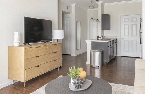 Spring Creek Apartment | Landing at The Lookout at Comanche Hill - 1 Bedroom in Woodstone