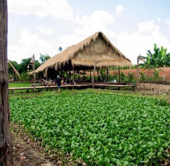 Krong Pak Hotel | Lang's Pá Mé - Homestay - Bungalow - Camping Krông Pắk, Buôn Mê Thuột, Đắk Lắk, Việt Nam