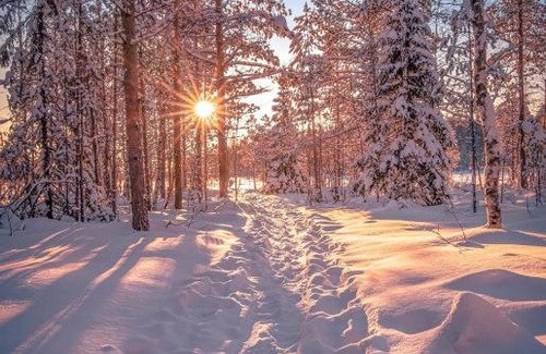 Simo Resort | Lapinkoski Salmon Lodges Simojoki - Simoriver