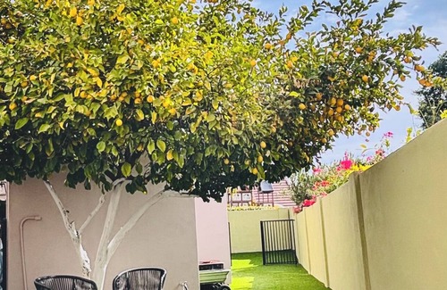 Alta Mesa Apartment | Large Casita/Guesthouse with Pool in charming Mesa Az