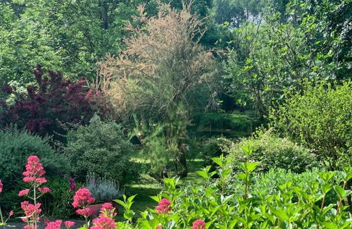 Chemire-le-Gaudin Cottage | Large cottage near Le Mans with pool, fireplace and animals