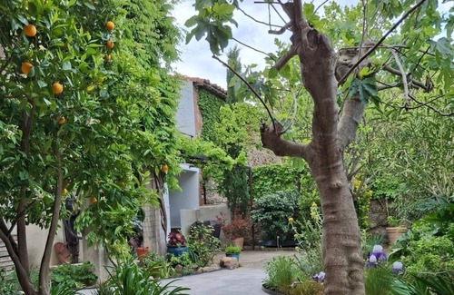 Terrats House | Large, renovated Catalan house, in the heart of the vineyard between sea
