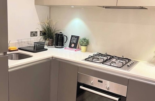 Vassall Apartment | Large Spacious Modern Flat 1 Minute from station