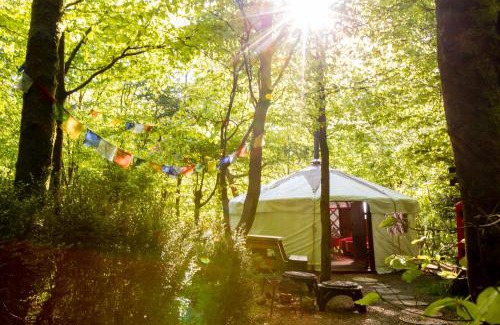 Llangeler Other | Larkhill Tipis and Yurts