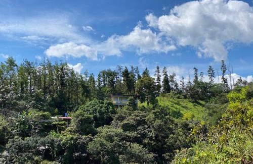 Playa Blanca Other | Las Catalinas Ecológicas (El Maizal)