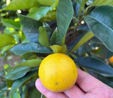 Sierra de los Padres House | Las Golondrinas