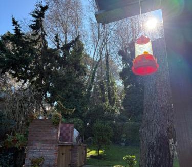 Sierra de los Padres House | Las Golondrinas