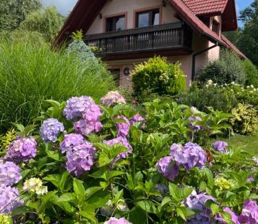 Brenna House | LAWENDOWA PRZYSTAŃ - dom nad rzeką - Brenna, 10 osób, sauna, balia z jacuzzi, ogród, plac zabaw