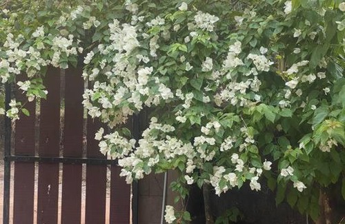 Kundapur Villa | Laxmi Raj