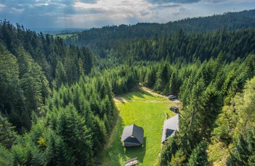 Nowy Targ Ski Chalet | Leśna Bacówka