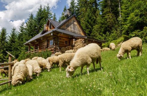 Nowy Targ Ski Chalet | Leśna Bacówka