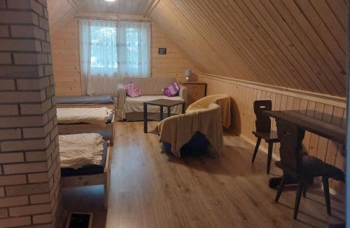 Wilga House | Leśna chatka