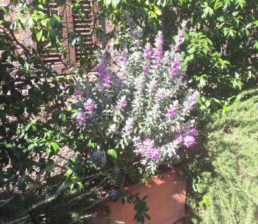 Semproniano House | Le Antiche Mura