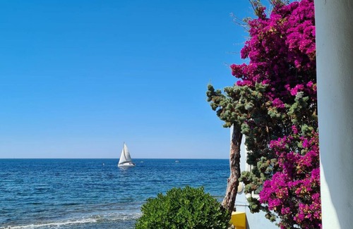 Carqueiranne House | LE CABANON FOR 4 PEOPLE - CARQUEIRANNE
