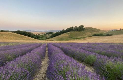 Orciano Pisano House | Le case della baracchina