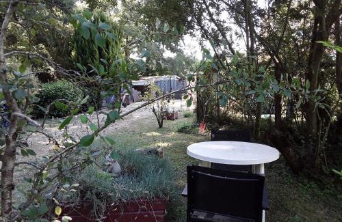 Tursac Ski Chalet | Le chalet de la grenouille verte