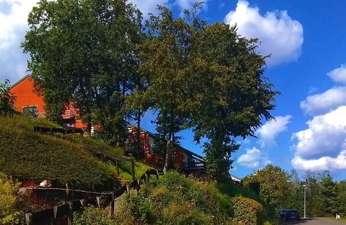 Membre Apartment | Le Charme Ardennais au Cœur des Montagnes