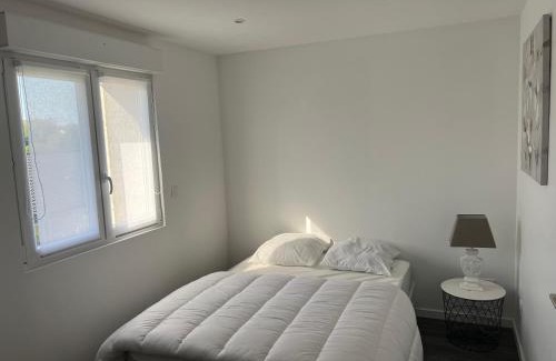 Toul Apartment | Le cocon du port