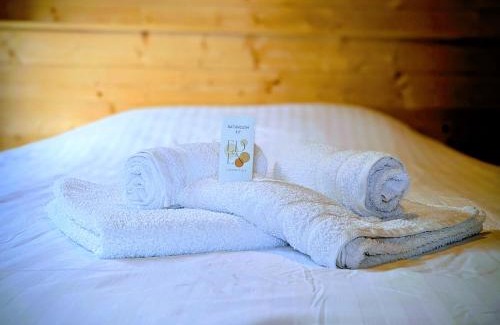 Trainel Ski Chalet | Le Coquelicot - Châlet avec SPA