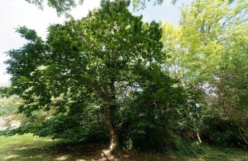 Saint-Augustin House | Le Cottage de St Aubierge