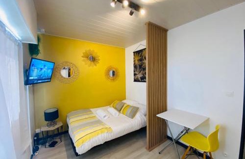 Les 3 Cites Apartment | Le Delta - Centre CHU - parking privé - Netflix