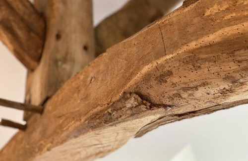 Angerville Bed & Breakfast | Le Domaine d’Angerville - Chambres d'Hôtes
